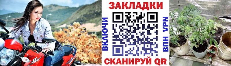 Где найти наркотики Кудрово КОКАИН  APVP  МАРИХУАНА  omg ссылка  Меф мяу мяу  Псилоцибиновые грибы 