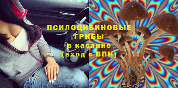 дурь Алексин